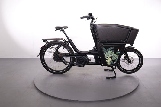 Urban Arrow Shorty 2023